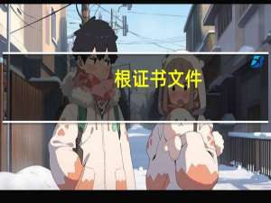 根证书文件（根证书下载）
