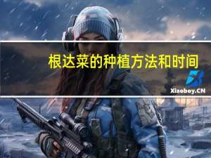根达菜的种植方法和时间