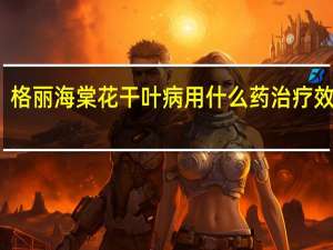 格丽海棠花干叶病用什么药治疗效果好