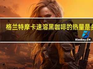 格兰特 摩卡速溶黑咖啡的热量是多少