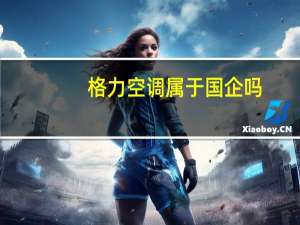 格力空调属于国企吗