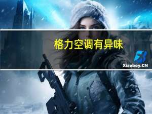 格力空调有异味