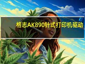 格志AK890针式打印机驱动（格志AK890针式打印机驱动功能简介）