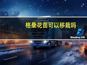 格桑花苗可以移栽吗