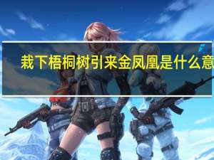 栽下梧桐树引来金凤凰是什么意思