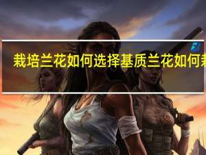 栽培兰花如何选择基质 兰花如何栽培