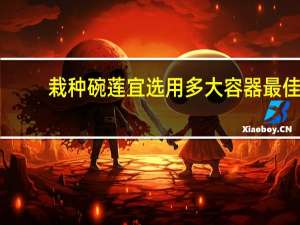 栽种碗莲宜选用多大容器最佳