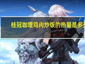桂冠 咖哩鸡肉炒饭的热量是多少