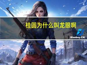 桂圆为什么叫龙眼啊（桂圆为什么叫龙眼）