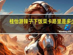 桂怡 游辣子下饭菜卡路里是多少