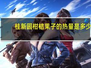 桂新园 柑桔果子的热量是多少