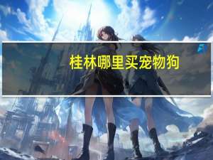 桂林哪里买宠物狗