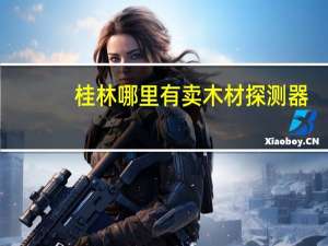桂林哪里有卖木材探测器