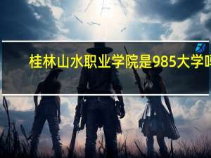 桂林山水职业学院是985大学吗