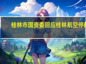 桂林市国资委回应桂林航空停航：市政府已成立专班