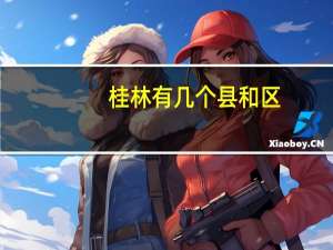 桂林有几个县和区