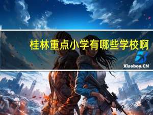 桂林重点小学有哪些学校啊
