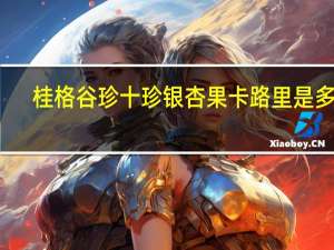 桂格 谷珍十珍银杏果卡路里是多少