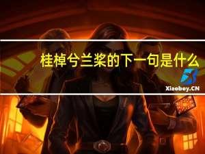 桂棹兮兰桨的下一句是什么
