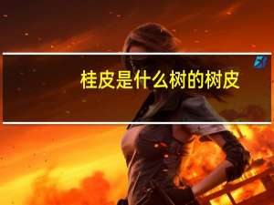 桂皮是什么树的树皮