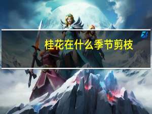 桂花在什么季节剪枝
