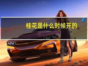 桂花是什么时候开的