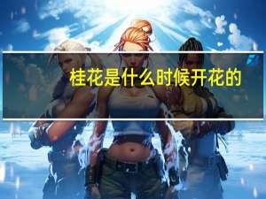桂花是什么时候开花的