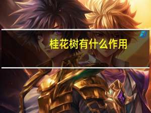 桂花树有什么作用