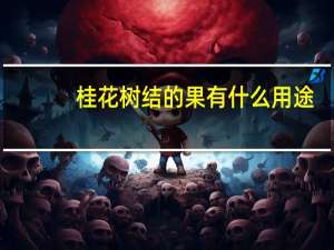 桂花树结的果有什么用途