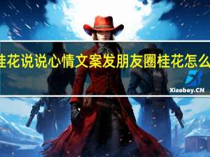 桂花说说心情文案 发朋友圈桂花怎么发说说