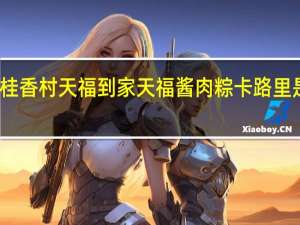 桂香村 天福到家 天福酱肉粽卡路里是多少