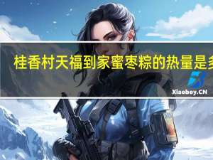 桂香村 天福到家 蜜枣粽的热量是多少