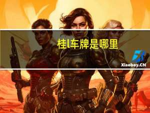桂l车牌是哪里
