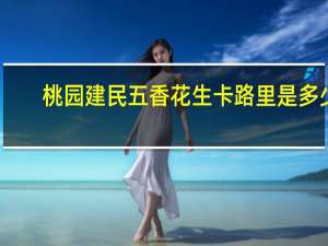 桃园建民 五香花生卡路里是多少