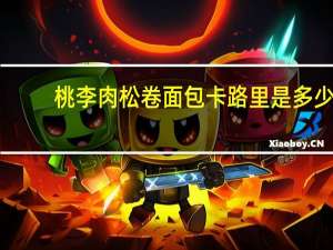 桃李 肉松卷面包卡路里是多少