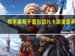 桃李 葡萄干面包切片卡路里是多少