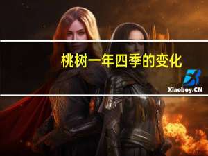 桃树一年四季的变化