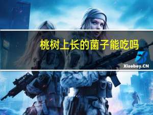 桃树上长的菌子能吃吗