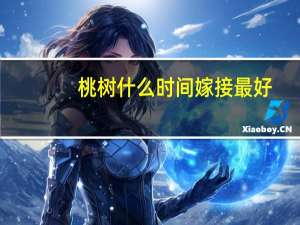 桃树什么时间嫁接最好