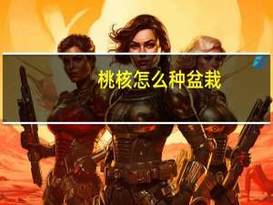 桃核怎么种盆栽