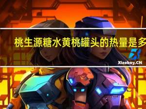 桃生源 糖水黄桃罐头的热量是多少