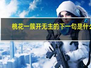 桃花一簇开无主的下一句是什么