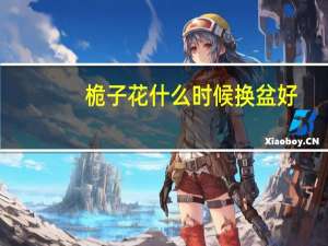 桅子花什么时候换盆好