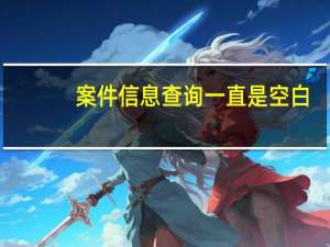 案件信息查询一直是空白（案件信息查询平台）