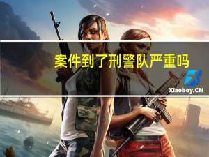 案件到了刑警队严重吗