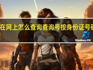 案件在网上怎么查询查询号 按身份证号码查询案件