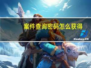 案件查询密码怎么获得