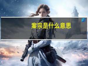 案宗是什么意思