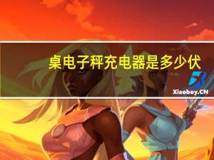 桌电子秤充电器是多少伏