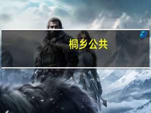 桐乡公共